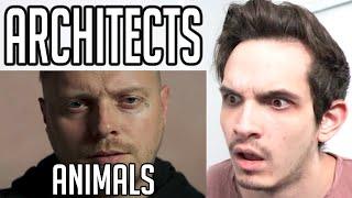 Metal Musician Reacts to Architects | Animals |