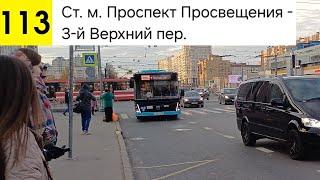 Автобус 113. Ст. м. Проспект Просвещения - 3-й Верхний пер.