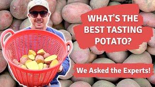 What's the Best Tasting Potato?