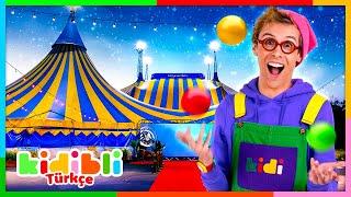 Cirque du Soleil'in harika gösterisini keşfedin! | Çocuklar için Eğitici Videolar | Kidibli