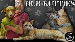A Day with Our Kutties  | Pet Lover அ இருந்தா கண்டிப்பா பாருங்க