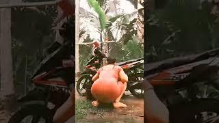 tik tok bokong gede