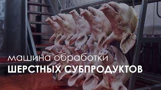 Машина обработки шерстных субпродуктов FELETI LF-C | Wool offal processing