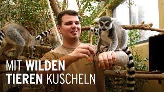 Mit wilden Tieren kuscheln - Die Ausbildung zum Tierpfleger