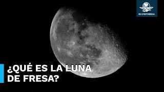 ¿Qué es y cuándo ver la Luna de Fresa 2024?