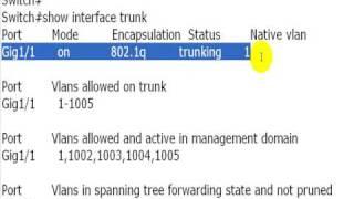 Cisco IOS - switchport mode trunk