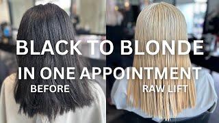 Epic Black to Blonde Hair Transformation: One-Day Color Correction Tutorial!