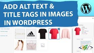 How to Use Title Tags and Alt Text to Your Images in WordPress | Add Alternative Text