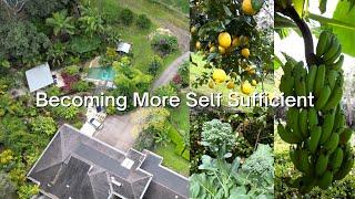 Spring Garden Tour: Creating A Food Forest In My Tropical Garden