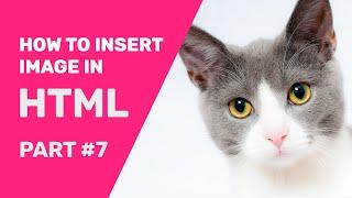 How To  Insert Image In HTML From Folder Using Notepad 2020