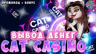 Обзор Cat casino | Промокод Cat казино | Вывод денег Кэт казино №6