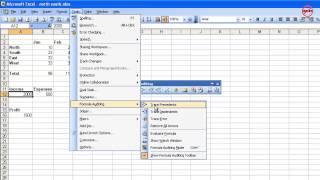 Excel: How to Use Formula Auditing