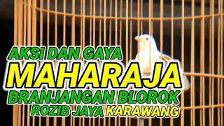 AKSI MAHARAJA !!! BRANJANGAN BLOROK OM ROZIB JAYA KARAWANG