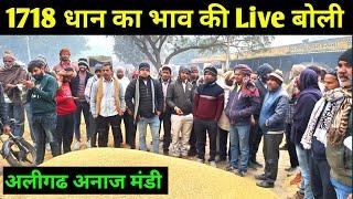 1718 धान की Live बोली  1718 dhan ka bhav | 1509 dhan ka bhav | aligarh mandi dhan bhav / dhaan