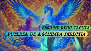 SESIUNE REIKI TACUTA - PUTEREA DE A SCHIMBA DIRECTIA - EFECTUL PASARII ALBASTRE