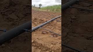 1 feet fast drip irrigation system