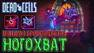 Новый пет Ногохват - смесь Парниши и Филина? / Забег без дамага / Dead Cells The Queen and The Sea