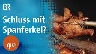 Viechtach: Grillfest nicht vegan genug? | quer vom BR