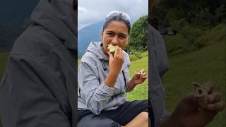 Kaha Jare Hum..?(Mini Vlog 214) #trending #पहाड़ीlife #uttarakhand