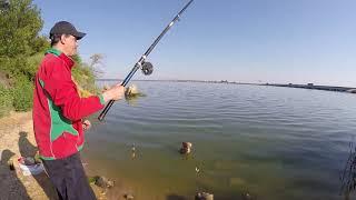 КАРПИК КЛЮЁТ при каждом забросе ПОПЛАВКА на ХАДЖИБЕЕВСКОМ лимане! nrg FISHING