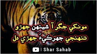 Monkhe Jigar Sheenhan Jehro | New Full Sindhi Qomi Song 2021 with lyrics | Dildar Otho