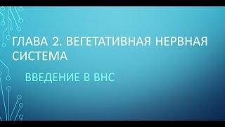 Физиология. Глава 2. ВНС. Часть 1. Введение