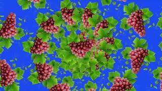 animated Grapes fruit green screen/ animation Grapes fruit Background