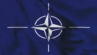 NATO FLAG WAVING ANIMATION/ 3D flag animation/ free 4 k stock footage/ 5 min loop