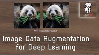 Image Data Augmentation for Deep Learning