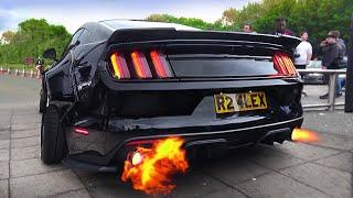 SCARY Ford Mustang V8 Sound Compilation 2020!
