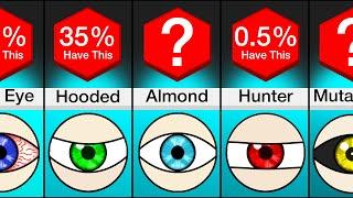 Comparison: Different Types Of Eyes