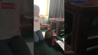 Rube Goldberg inspired alarm clock science project