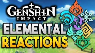 Elemental Reactions Guide - All you need to KNOW about Element Reactions! -【Genshin Impact】