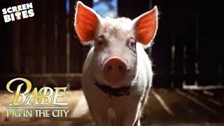Babe: Pig in the City (1998) Official Trailer | Screen Bites