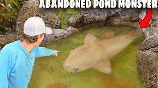 I Found a MONSTER in an Abandoned Pond!