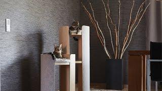 Modern Cat Furniture for your Home | The Cat Butler