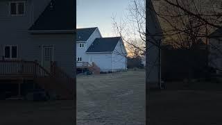 Presidents Day Sunset and 2 Squirrels Chasing Each Other on the Deck 2/17/25