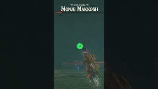 Link vs Monje Makkarosh DLC Zelda BOTW #shorts #short #zelda #zeldabreathofthewild