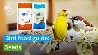 What kinds of seeds should I feed to garden birds? | RSPB bird food guide