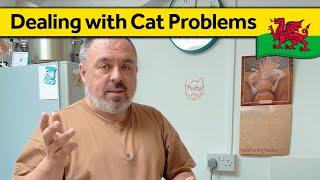 113. Cat Troubles and Weeding - Living Alone in Wales (August 2024)