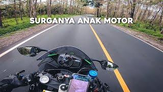 TOURING MALANG-BALI ZX636 ft. YAMAHA R1M (PART 2) | INDAHNYA BALURAN!