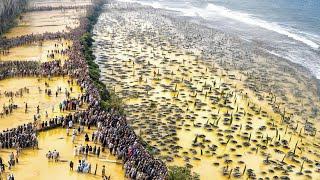 Japan Stopped Letting the Ocean Touch the Shore and Here's What Happened Years Later