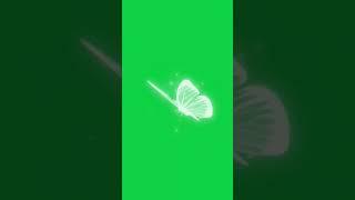 Free green screen butterfly no copyright green screen video .