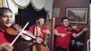 HERMOSA JARANA ARPA Y VIOLIN con LOS QARIS 2020/990742112