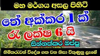 තේ අක්කර 1 ක් Rs ලක්ෂ 5 කට  විකිණිමට |Land sale 2024 | land sale in sri lanka | aduwata idam