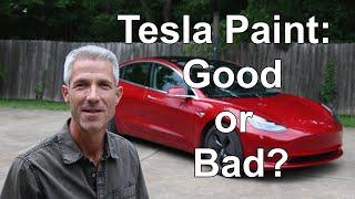 Tesla Paint, Good or Bad?