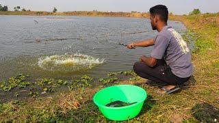 Fishing Video || Fishermen are fishing with hooks in the village canal || Excellent hook fishing