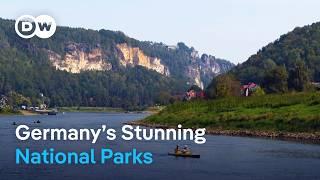 Top 7 National Parks in Germany That You Should Visit