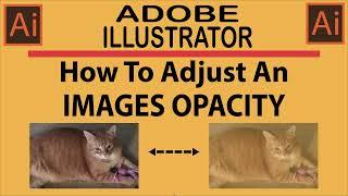 How To Adjust An Images Opacity In Adobe Illustrator