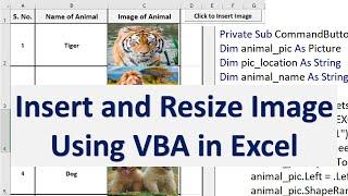 Excel VBA to Insert Picture into Cell and Resize Picture to fit into Cell